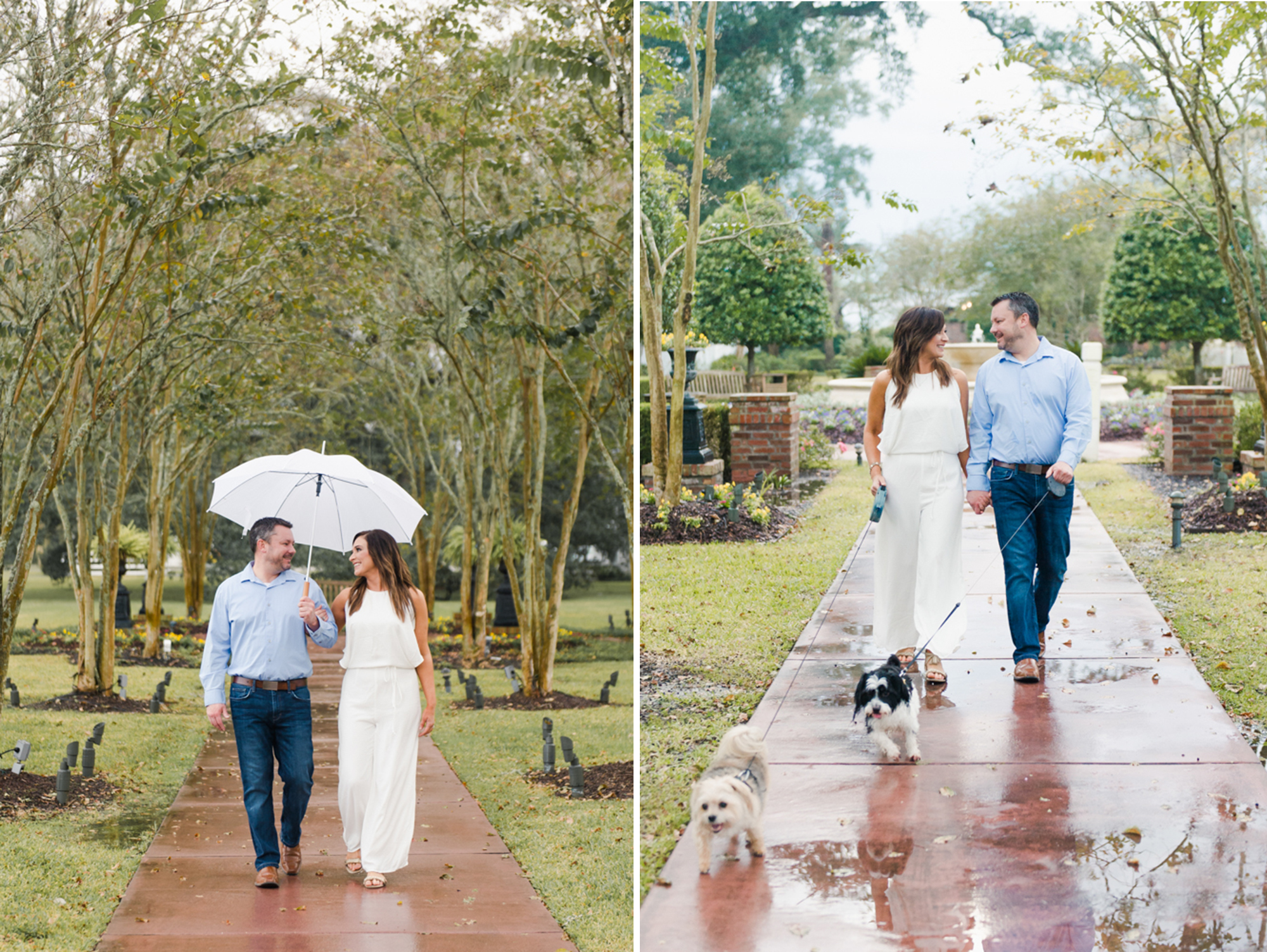 Engaged couple walking in the rain with umbrella
